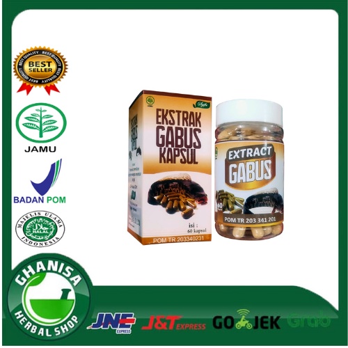 EKSTRAK IKAN GABUS 60 KAPSUL - SYIFA HERBAL
