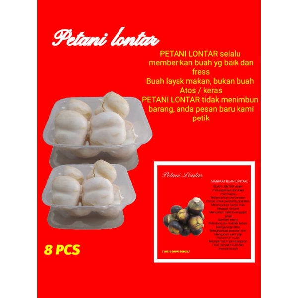 

BUAH LONTAR KUPAS PREMIUM ( Isi 8 PCS )