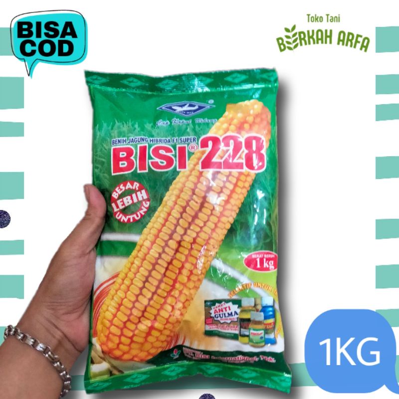 Benih Jagung Bisi 228 1 KG