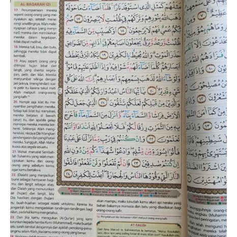 Al Quran Terjemahan Al Qahira A3 27x37 CM Alquran Tajwid Warna Jumbo