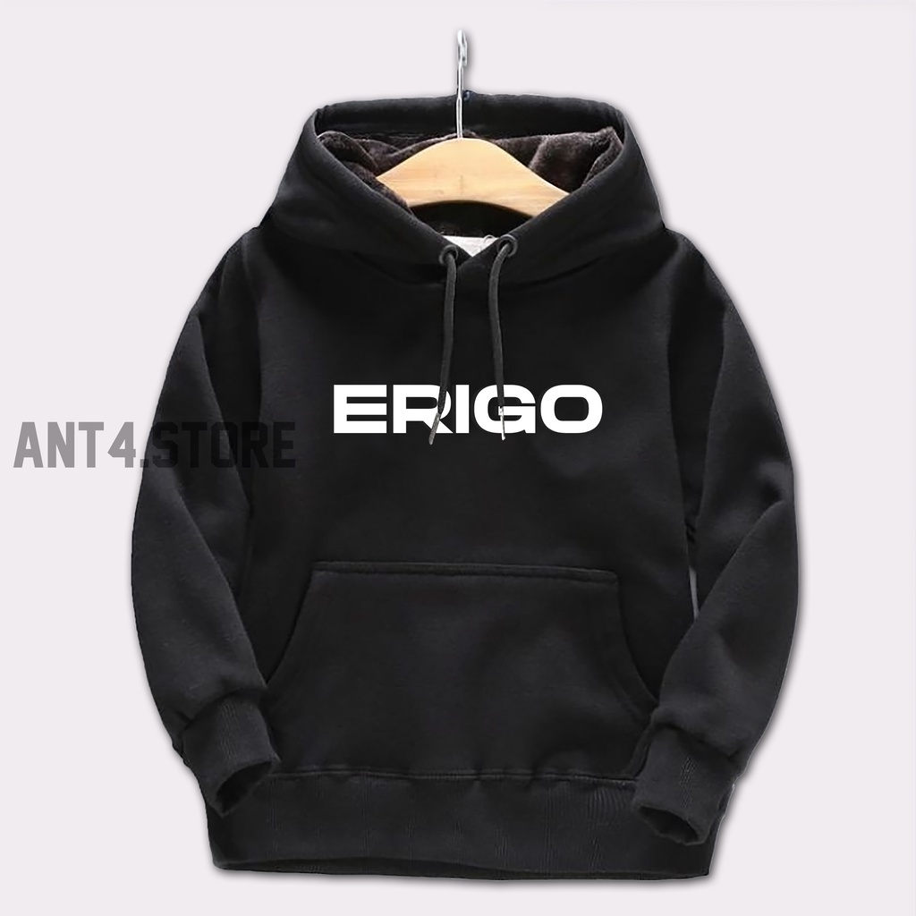 Hoodie Anak Laki Laki Perempuan Switer anak Usia 2 - 12 Tahun Jaket Anak laki laki ERIGO Sweater Distro