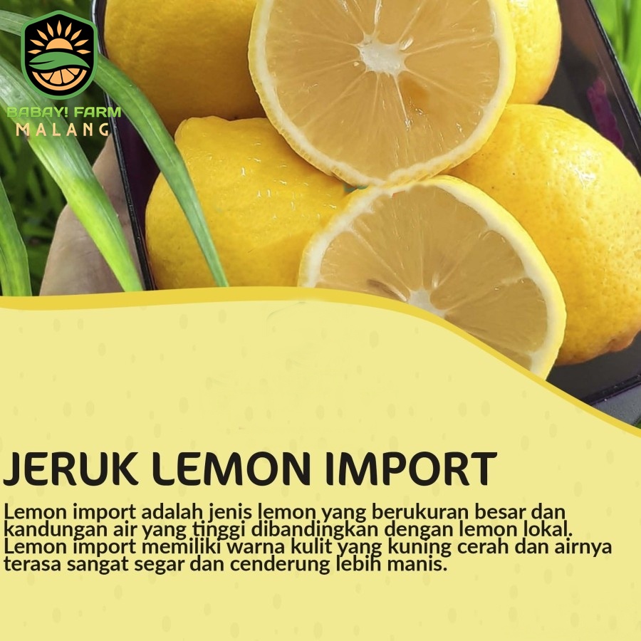 

Jeruk Lemon Import 500 gr / 1 kg