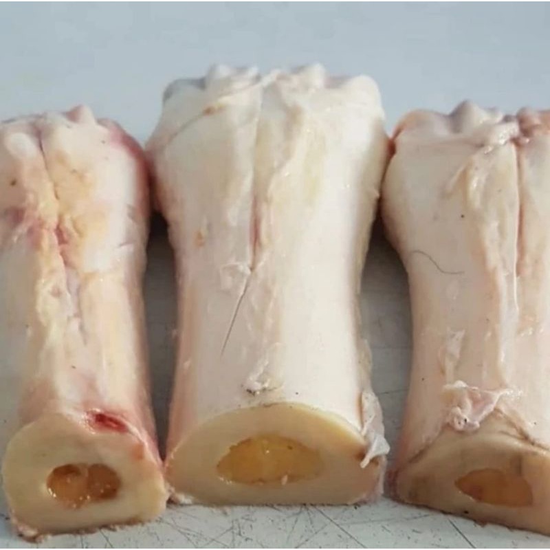 

Tulang Sumsum Sapi / Batang