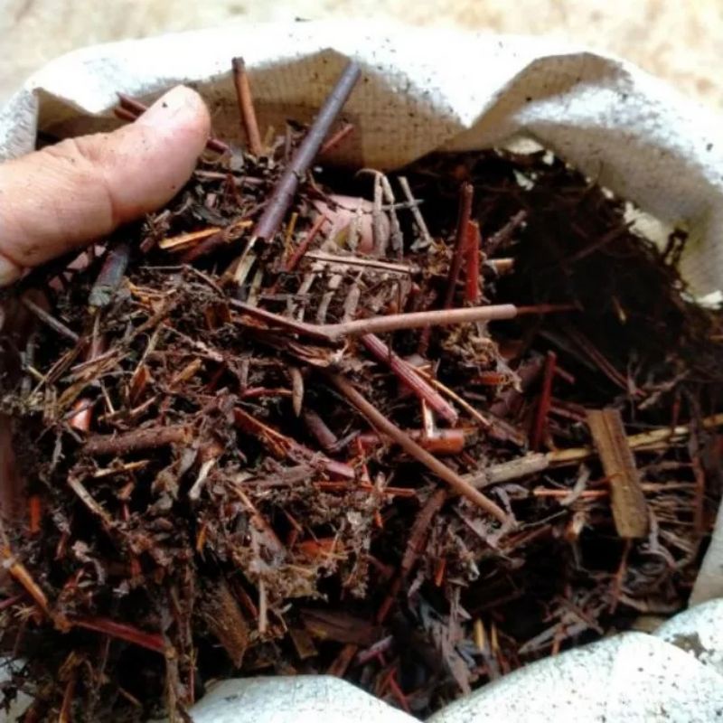 Media Tanam Andam 1 Karung kecil / Media tanam Andam 1 karung