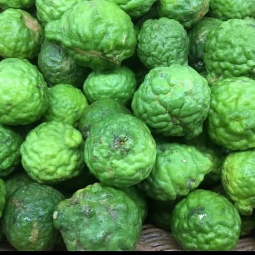 JERUK PURUT KUALITAS PREMIUM