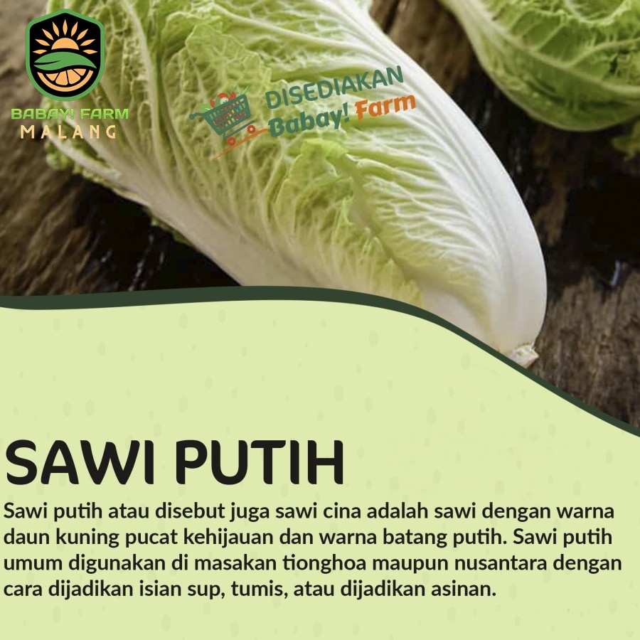 

Sawi Putih Cina 500 gr / 1 kg