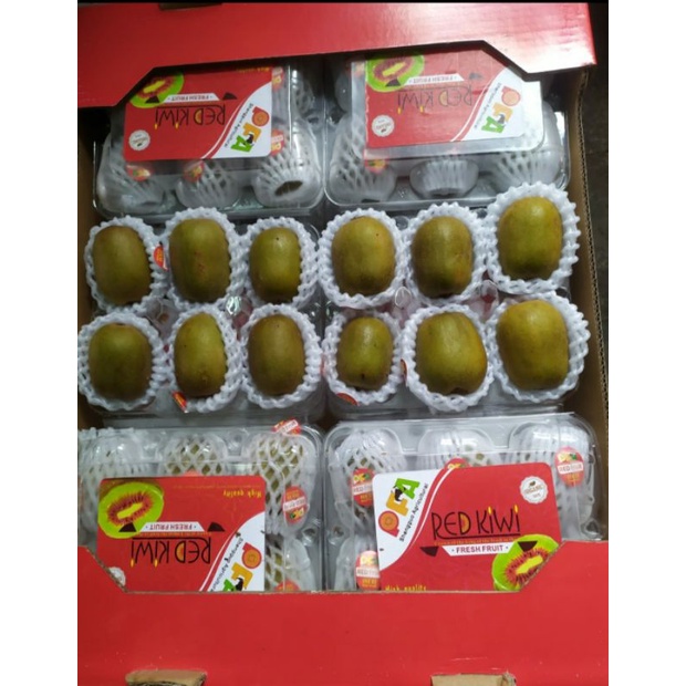kiwi red premium | buah kiwi merah | pack