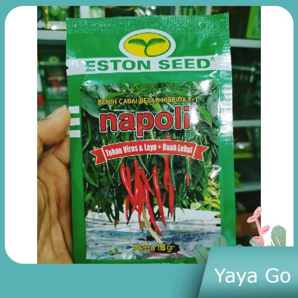 

Cabe Besar Napoli F1 Cabe Besar Tahan Virus dan Layu Kemasan 10gr Original Pabrik Eston Seed