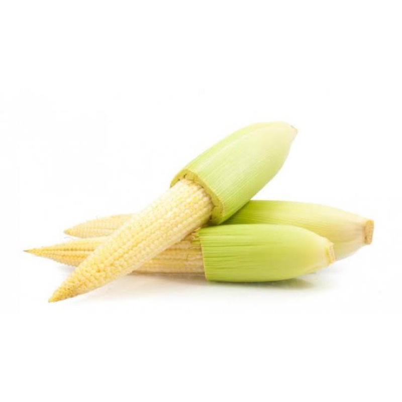 

JAGUNG PUTREN PER PACK -+ 250gr