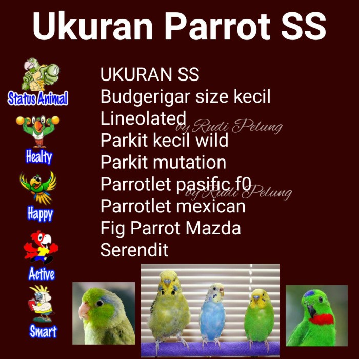 Kandang Burung Harness Parrot 2021Ftm Sosial Outdoor Segala Ukuran.