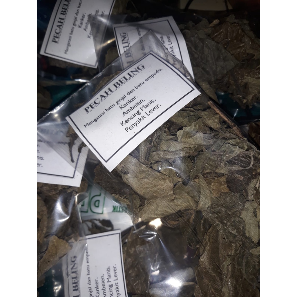 

daun pecah beling herbal / keji beling - obat batu ginjal