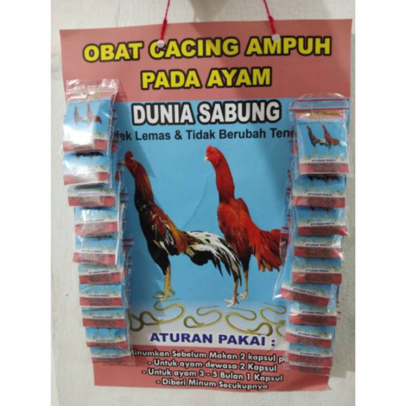 OBAT CACING AMPUH PADA AYAM DUNIA SABUNG ISI 5 KAPSUL