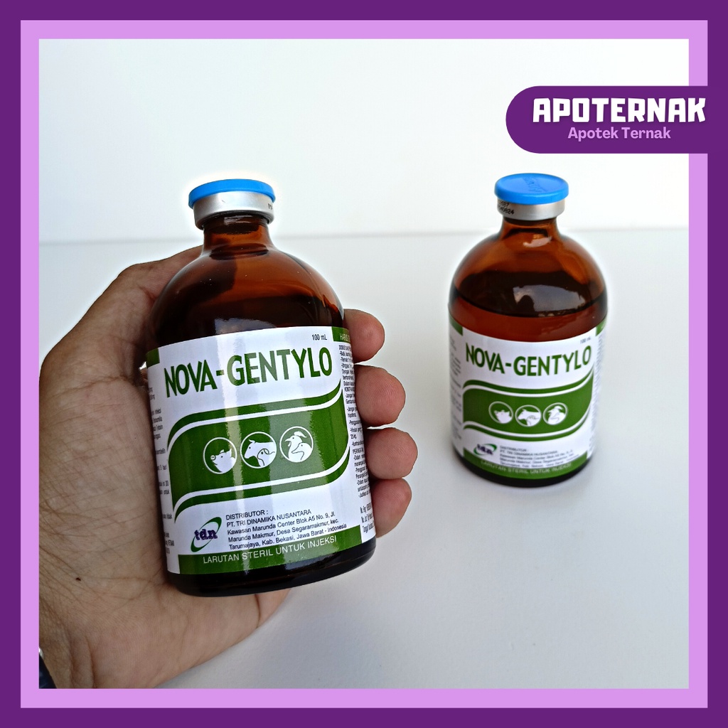 NOVA GENTYLO | Antibiotik Infeksi Bakteri Spektrum Luas Untuk Sapi Kambing Babi Unggas | 100 ml | ANOVA