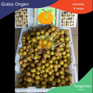 Jual Indukbuah BUAH LENGKENG KELENGKENG BANGKOK THAILAND CAP EMAS 1 ...