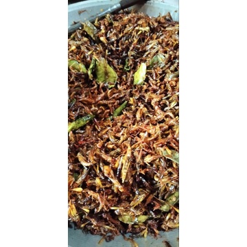 

BELALANG SAWAH/KECIL/UTES(500gram)