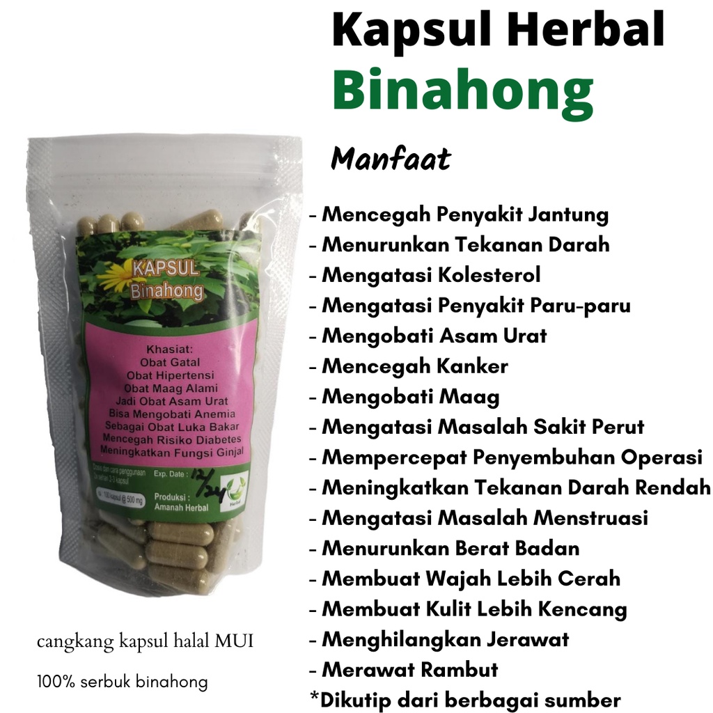 binahong isi 100 kapsul asli / kapsul binahong / Binahong obat gatal / Binahong kapsul asli / Binahong obat asam urat / Binahong obat luka dalam / Binahong herbal / obat herbal Kapsul binahong asli / Kapsul binahong pasca operasi / daun binahong