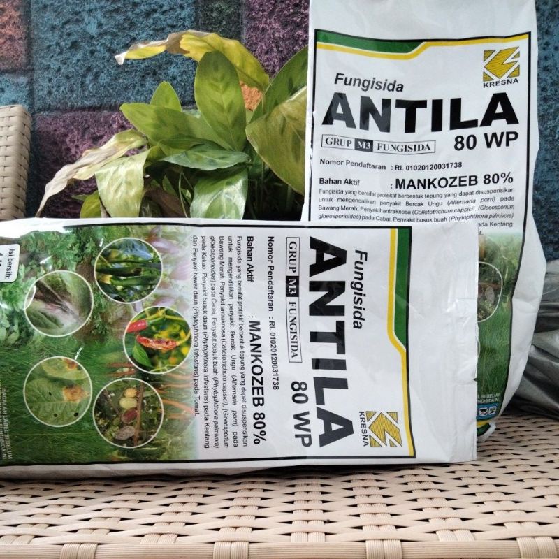 ANTILA 1 kg fungisida