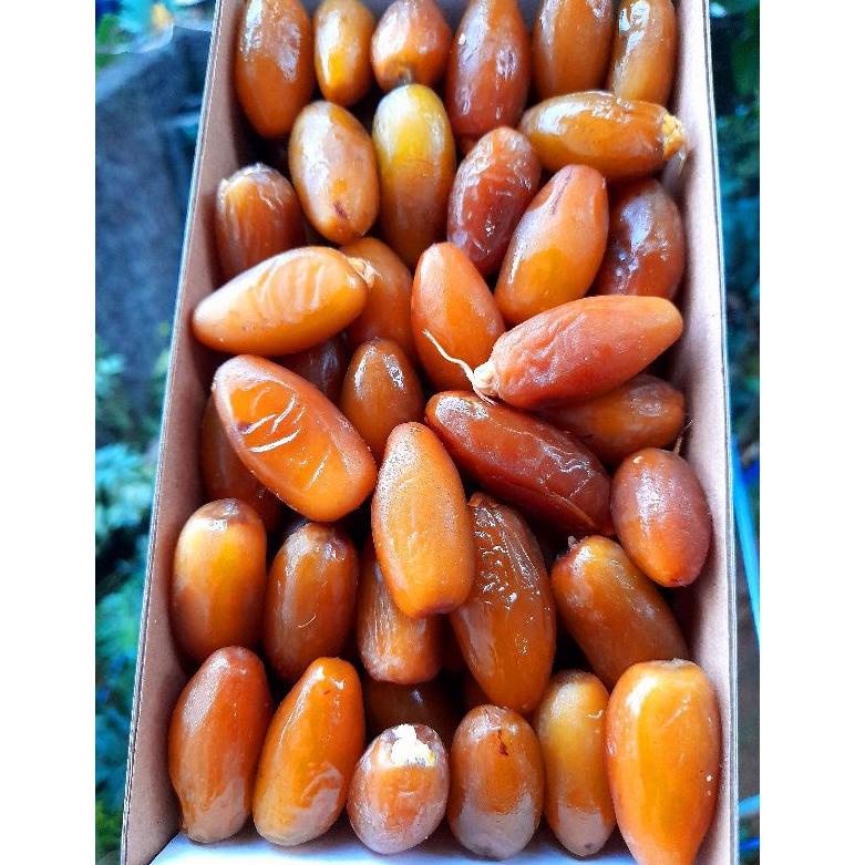 

77 kurma muda ruthob promil/kurma muda libya/kurma ruthob muda libya/kurma segar l/kurma ruthob premium 77