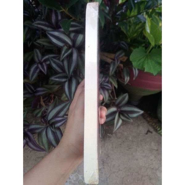 satria November Mia adjad