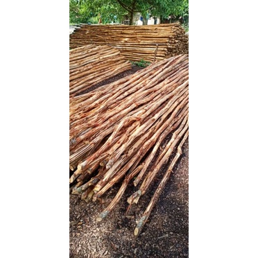 Kayu Dolken kuspa kupas dekorasi hiasan