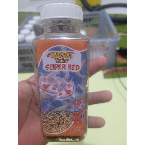 umpan ikan alami magot kering super red