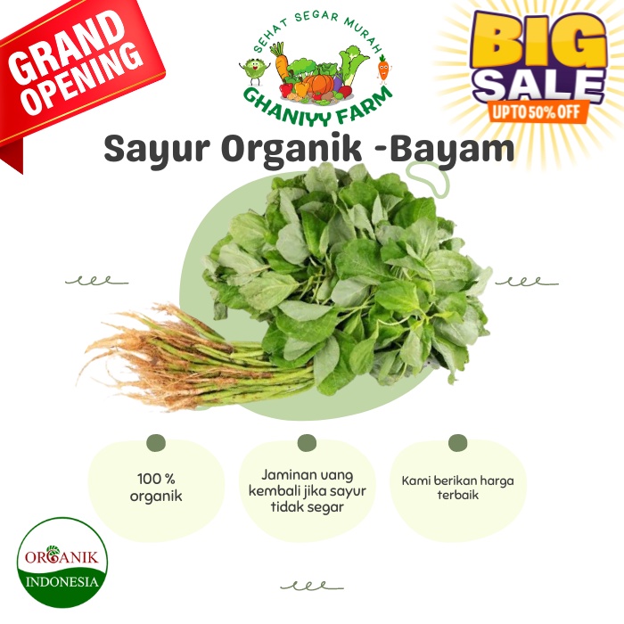 

Sayur organik murah by organik indonesia bayam hijau organik