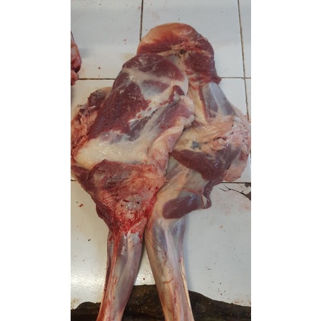 

Paha depan kambing 1kg