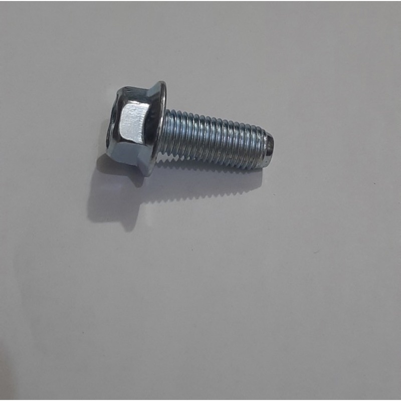 Flange bolt 10x25