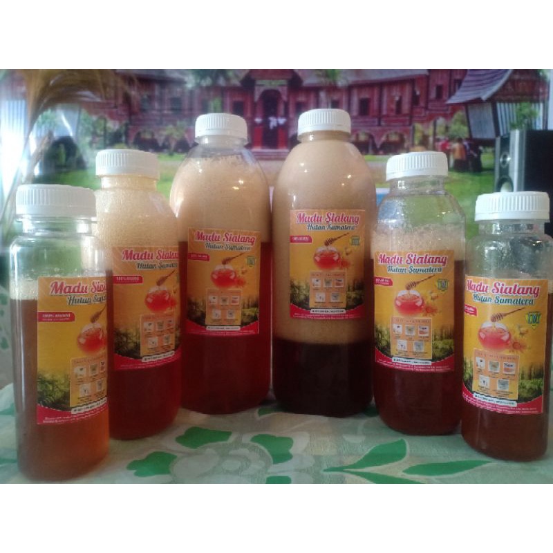 

Madu Sialang hutan Sumatera