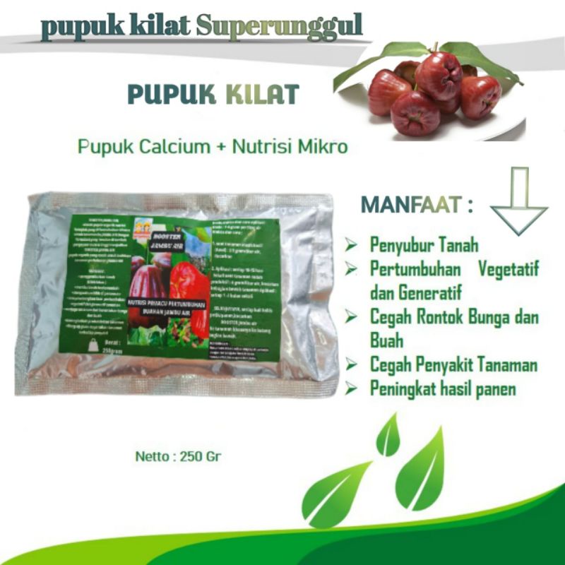 Pupuk Organik Pelebat Buah Dan Booster Jambu air Cepat Berbuah Lebat