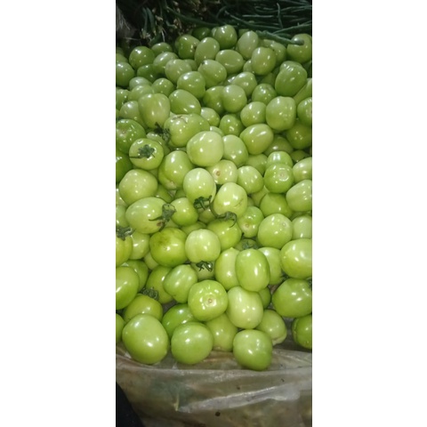 

Tomat Hijau 1kg