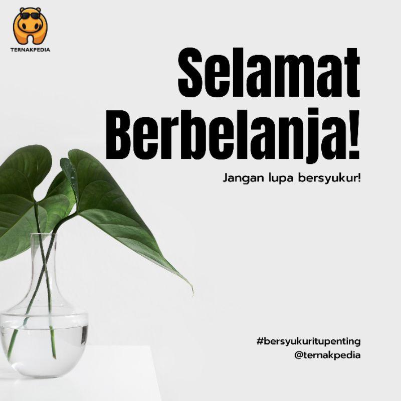 Anti Ambruk 100 Gram - Suplemen Untuk Sapi Ambruk - Obat Sapi Ambruk - Suplemen Sapi - Kualitas Terb