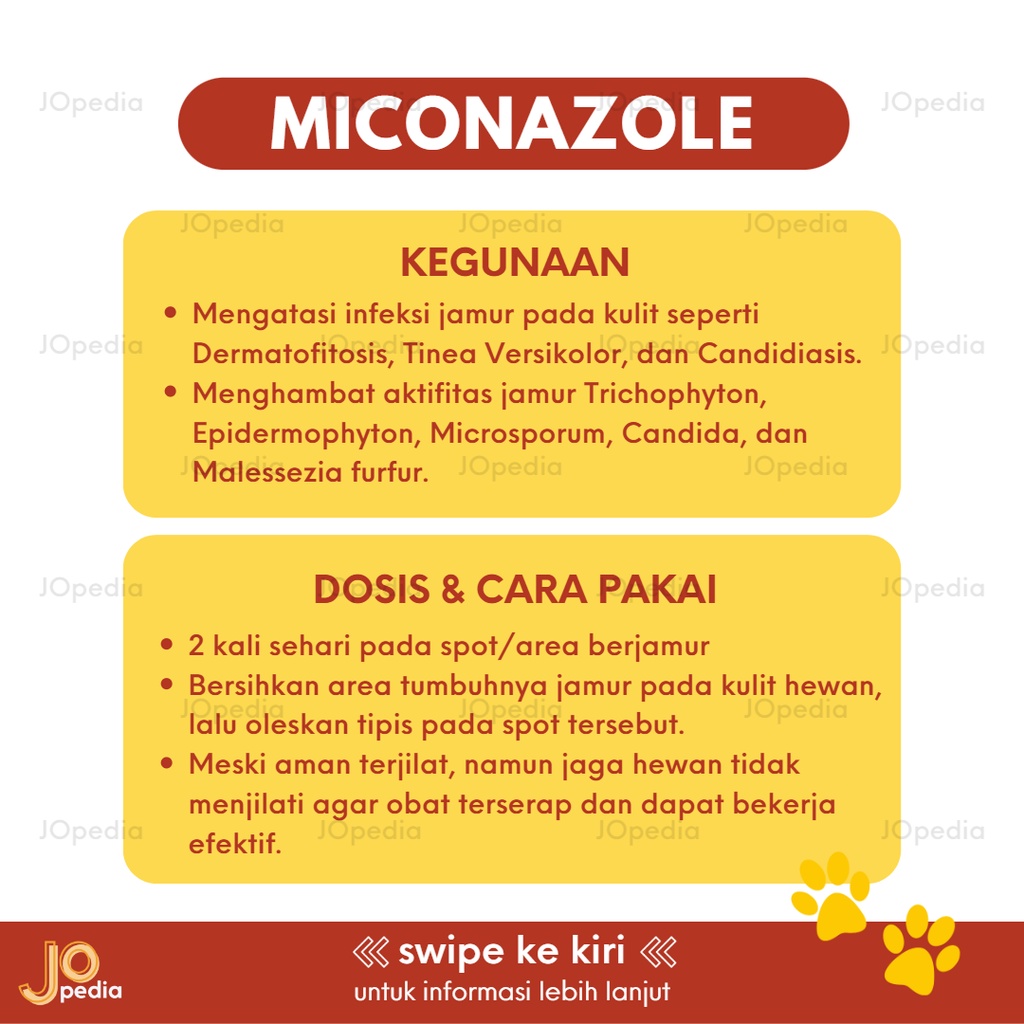 MICONAZOLE Obat Jamur Kucing Anjing Kelinci Salep Krim Kulit Hewan