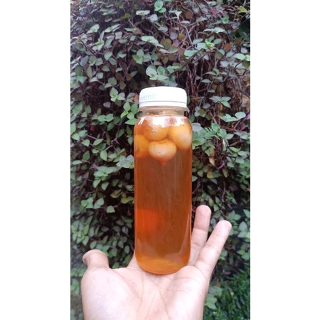 

Madu Apis Cerana Extra Bawang Putih Lanang 250ml.