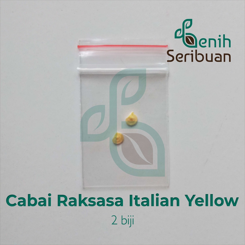 Benih Seribuan - 2 Bibit Cabe Raksasa Sweet Italian Pepper Yellow Unggul