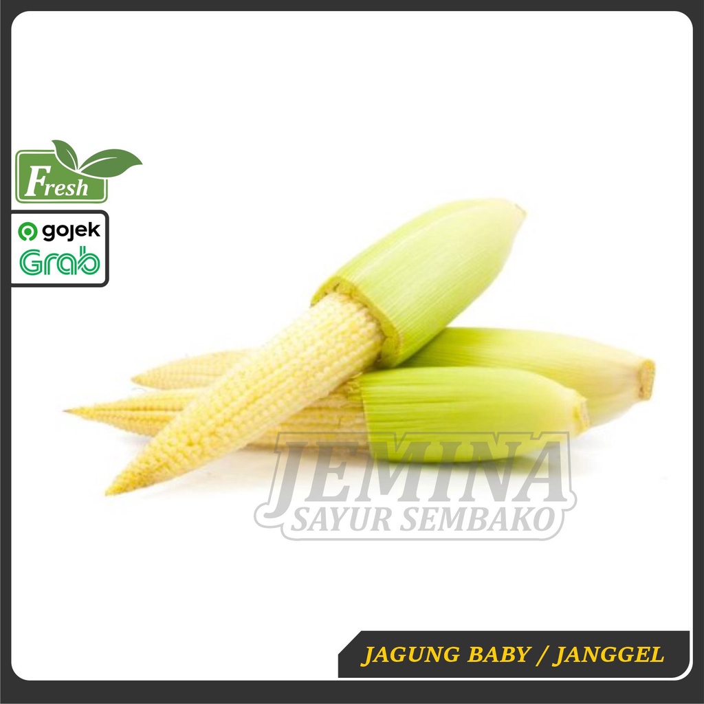 

Baby Corn Jagung Muda Janggel Posol 250g - Sayur Jogja