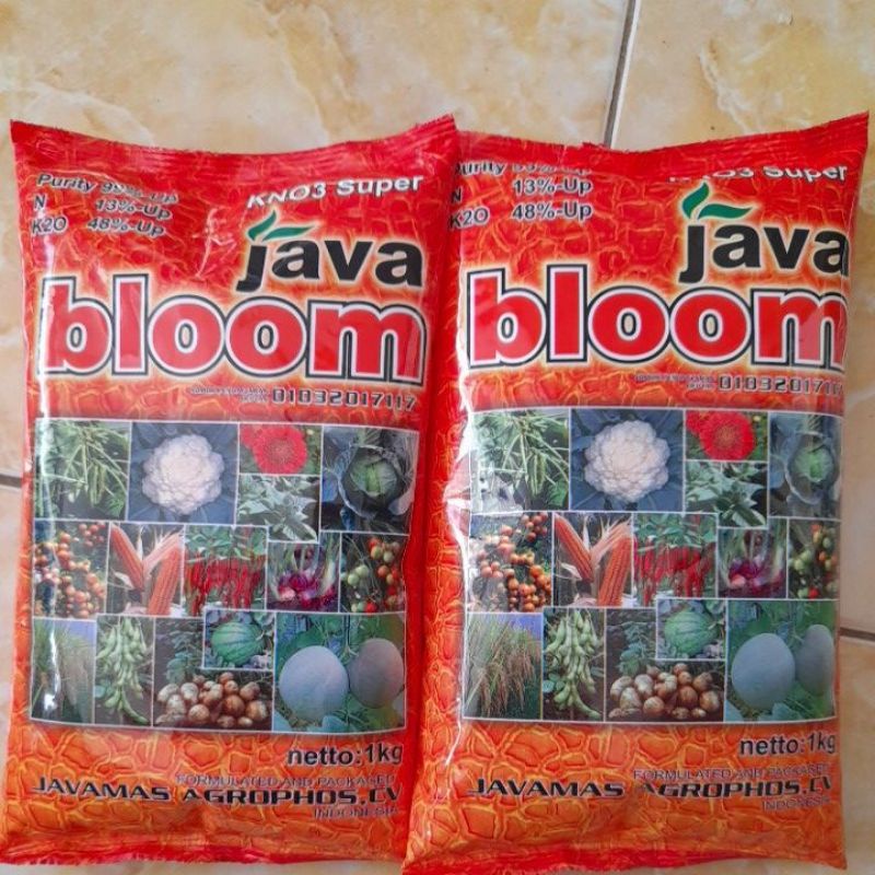 KNO3Super Java Bloom