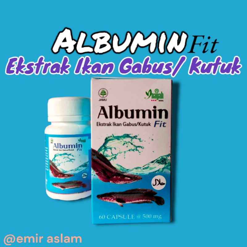 

Albumin Fit Extra Ikan Gabus