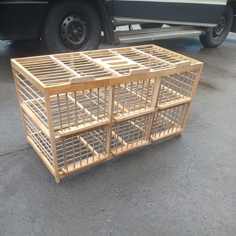 sangkar kandang dondang burung dara merpati kayu mahoni pintu 6