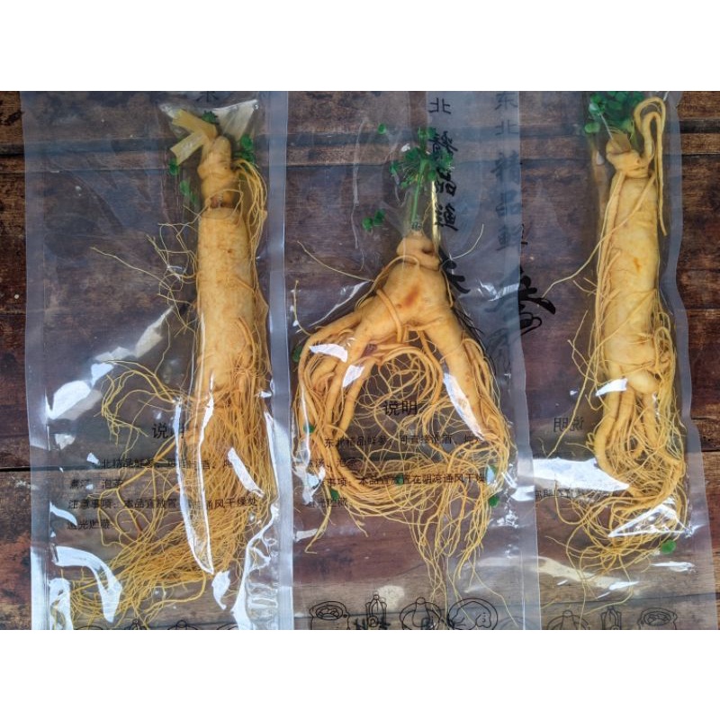 

Akar Ginseng Cina Paket Hemat Isi 5 berat 250 Gram