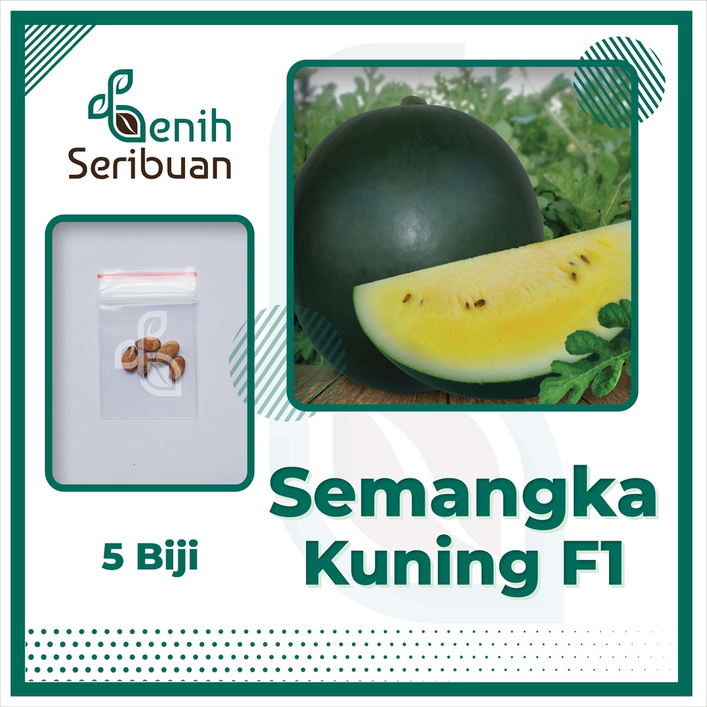 Benih Seribuan - 5 Bibit Buah Semangka Kuning Bulat F1 Hibrida