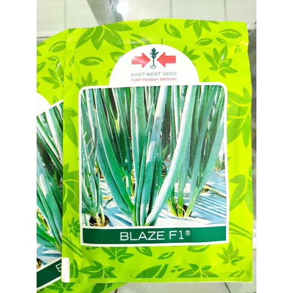 Benih daun bawang BLAZE F1 10gr, Cap Panah Merah