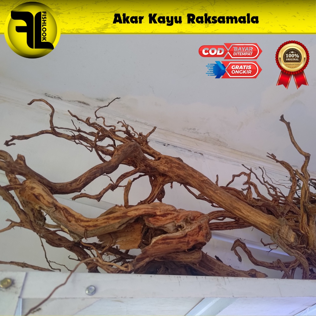 KAYU AKAR RASMALA UNTUK AQUASCAPE SIZE S M L