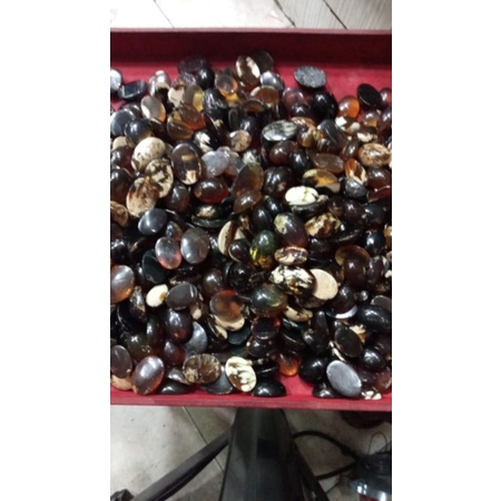 GETAH KATILAYU BENTUK CINCIN ATAU LIONTIN LOSTUNE GETAH KEBERUNTUNGAN