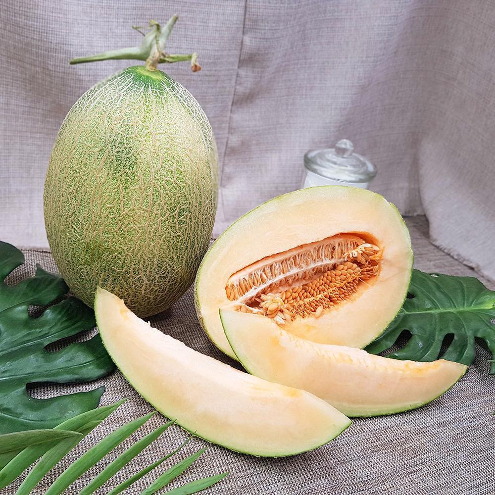 Benih Bibit Biji - Buah Xinjiang Rock Melon Orange Sweet Fruit Seeds - IMPORT