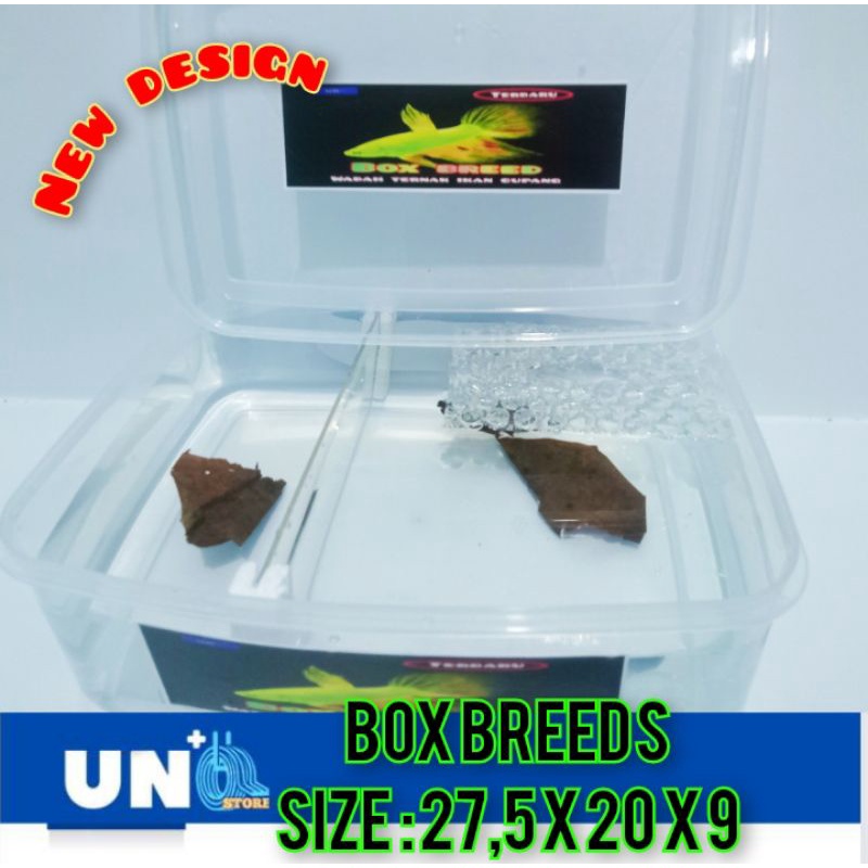 BOX BREED / BOXBREED WADAH TERNAK PENJODOHAN IKAN CUPANG