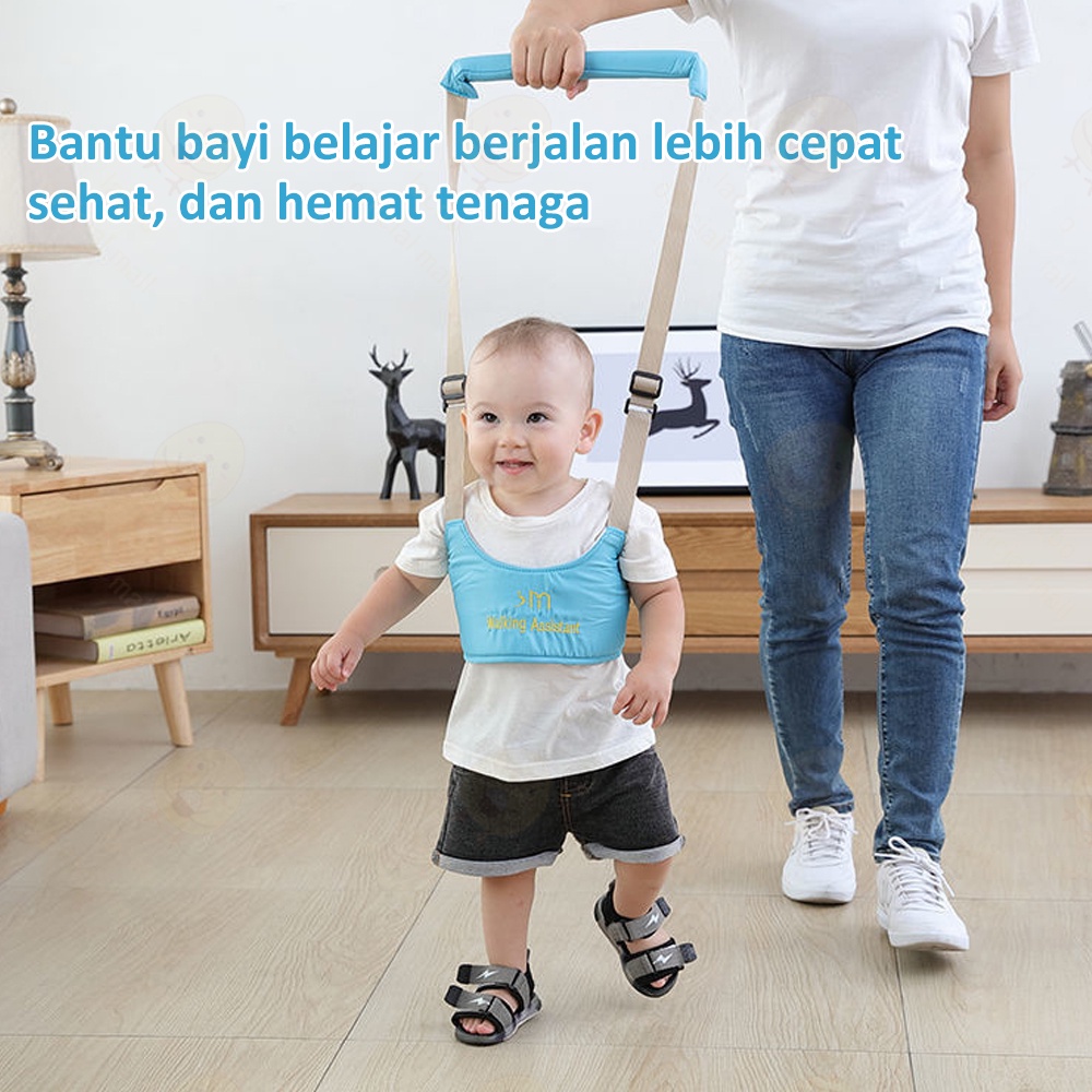 Lacoo Alat bantu belajar jalan bayi import Baby walking assistant baby walker belt import Alat tuntun jalan bayi