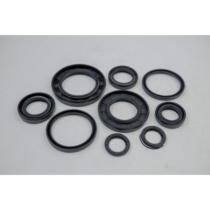 Seal Komplit Honda Vario 125 old - 91211-KZR-900