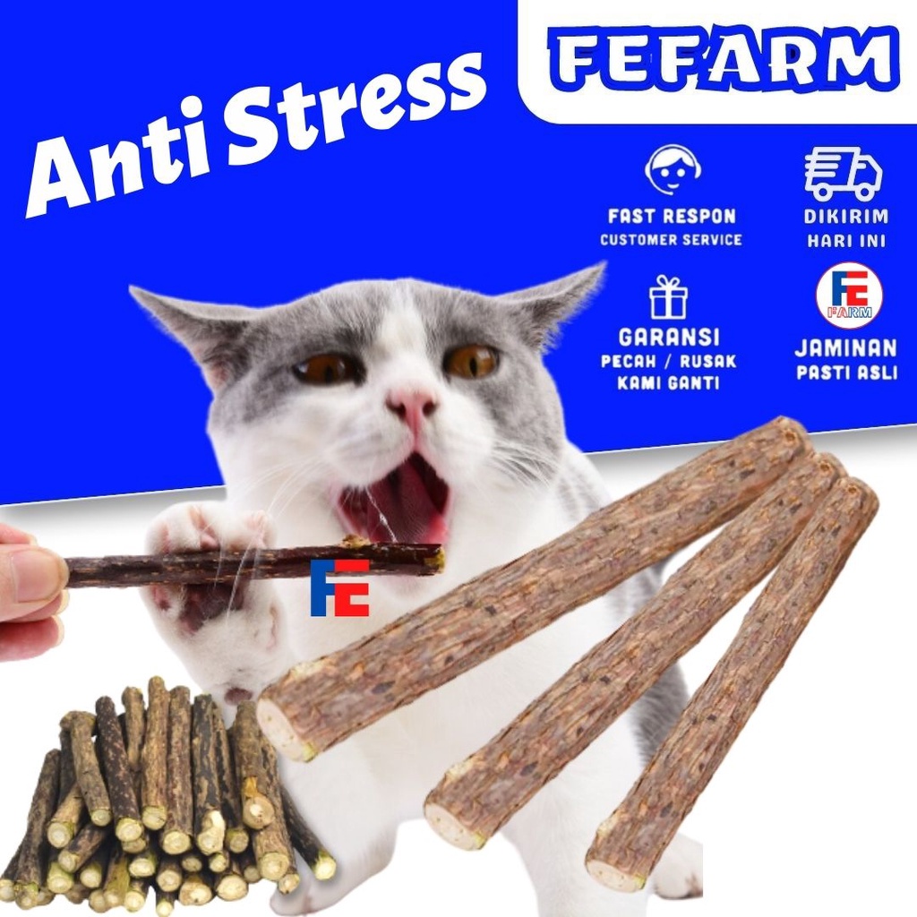 Catnip Kucing Stick Snack Mainan Kucing Natural Matabi Cat Toys Catnip FEFARM