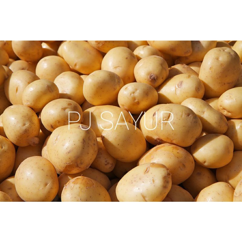 

Kentang 500 gr